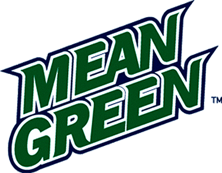North Texas Mean Green 2003-2004 Wordmark Logo diy iron on heat transfer